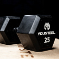 Гантель обрезиненная YouSteel HEX DB 5 кг 120_120